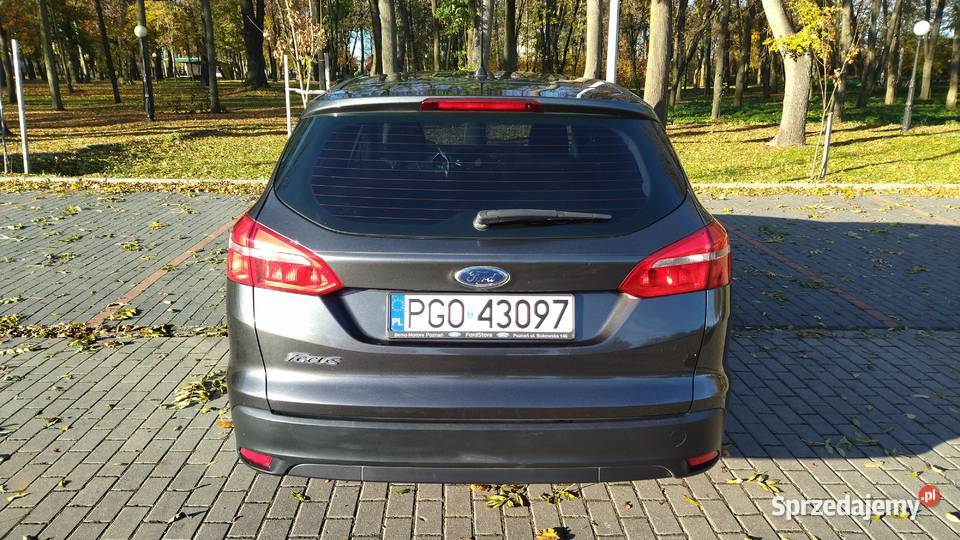 Piękny Ford Focus kombi 15 TDCI 120 salon I Tuliszków