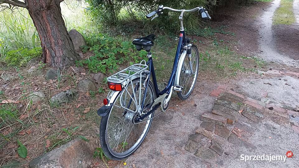 Alu Rower Miejski Damski Łabędź Niska Rama Wołów