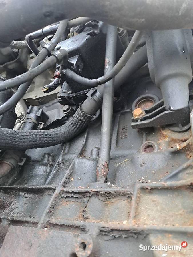 Ford Fokus C Kuga 20 TDCi silnik kompletny G6DA Rok produkcji 2005 śląskie Jastrzębie-Zdrój