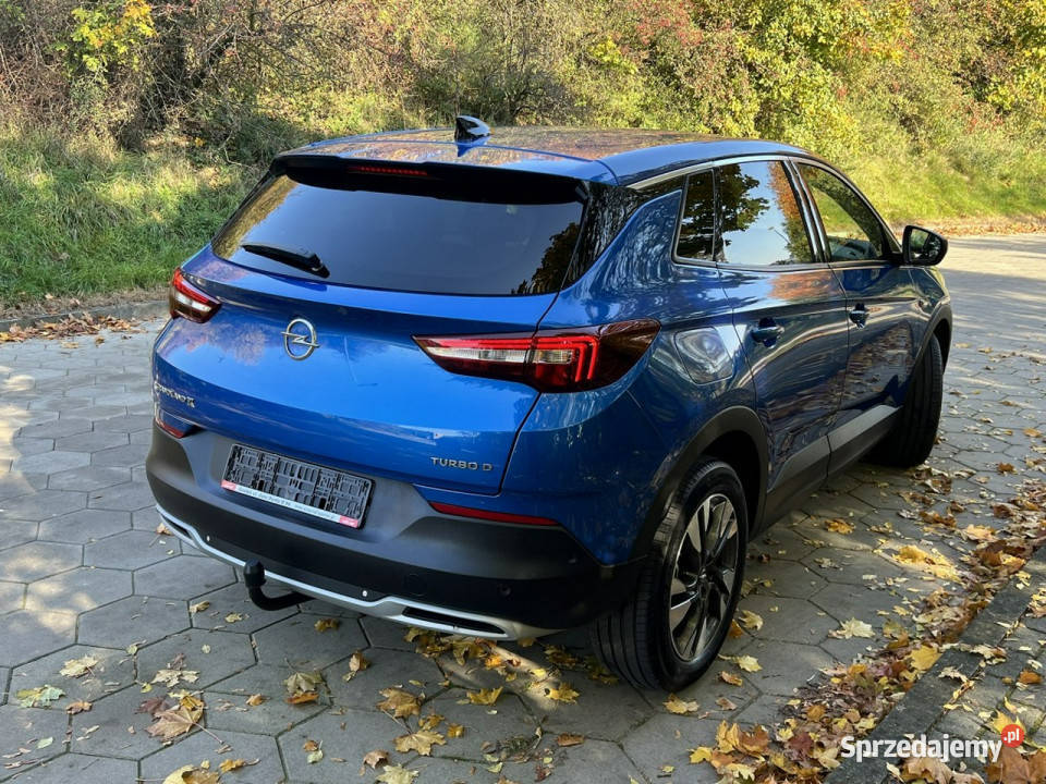 Opel Grandland X Opel Grandland X Navi niebieski Gostyń