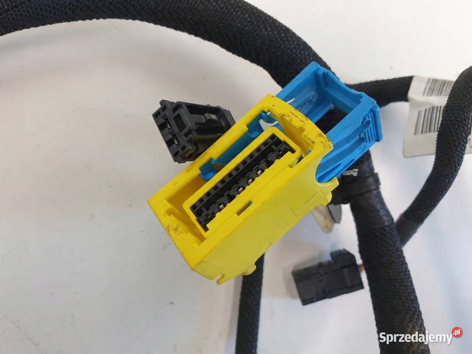 Opel Corsa F WIĄZKA DRZWI lewy przód 9835931880 Janów sprzedam