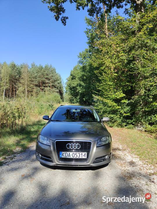Audi A3 8P TDI 2012r bez wkładu potwierdzony Rok produkcji 2012 Szczucin