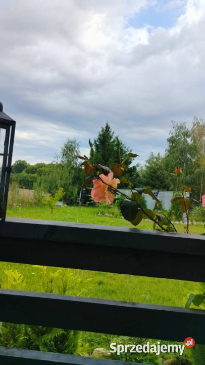Wyjątkowa działka rekreacyjna jeziora Radzynek utwardzona kujawsko-pomorskie sprzedam