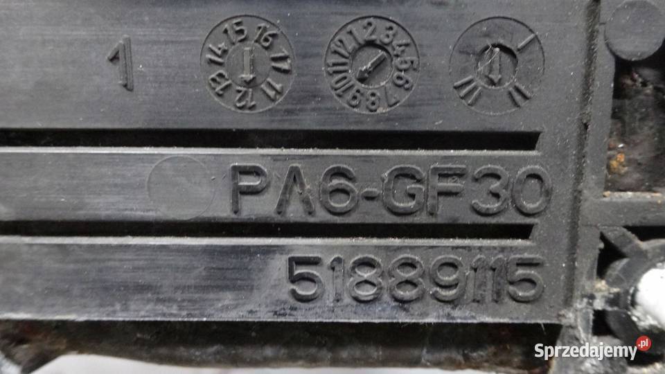 PANDA III 13r pas przód 51889115 świętokrzyskie