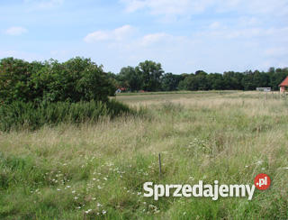 działka pod lasem Wisznia Mała pośredników dolnośląskie Wisznia Mała