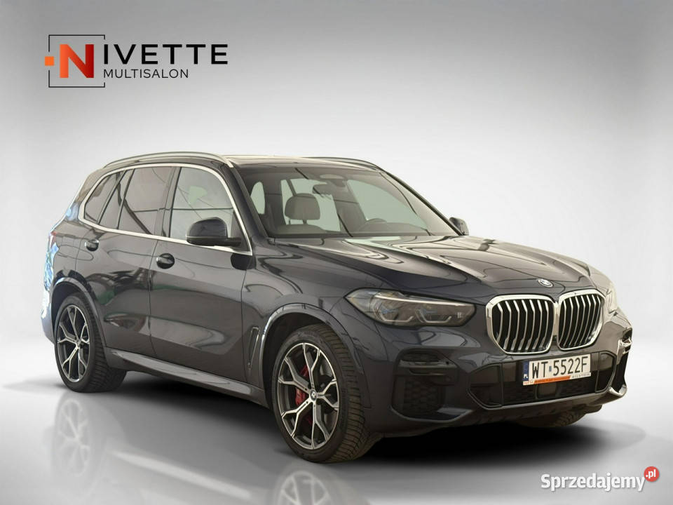 BMW X5 30 Plugin 394 45Le xDrive Salon FVat G05 isofix Warszawa