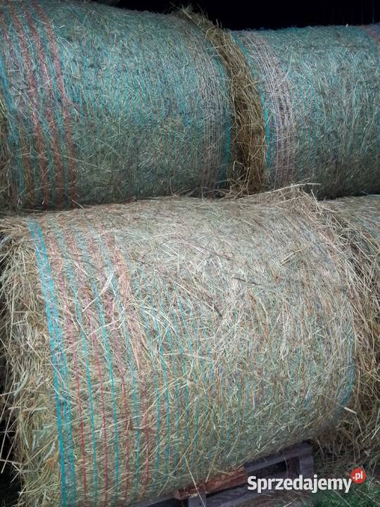 bale z suchego siana Nowy Targ