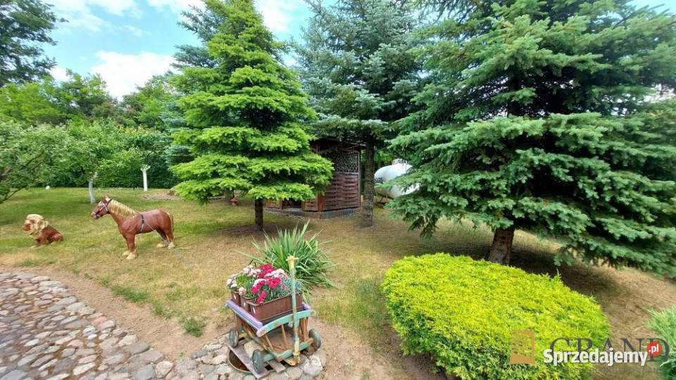 Dom wolnostojący 135m2 Recz Sprzedaż