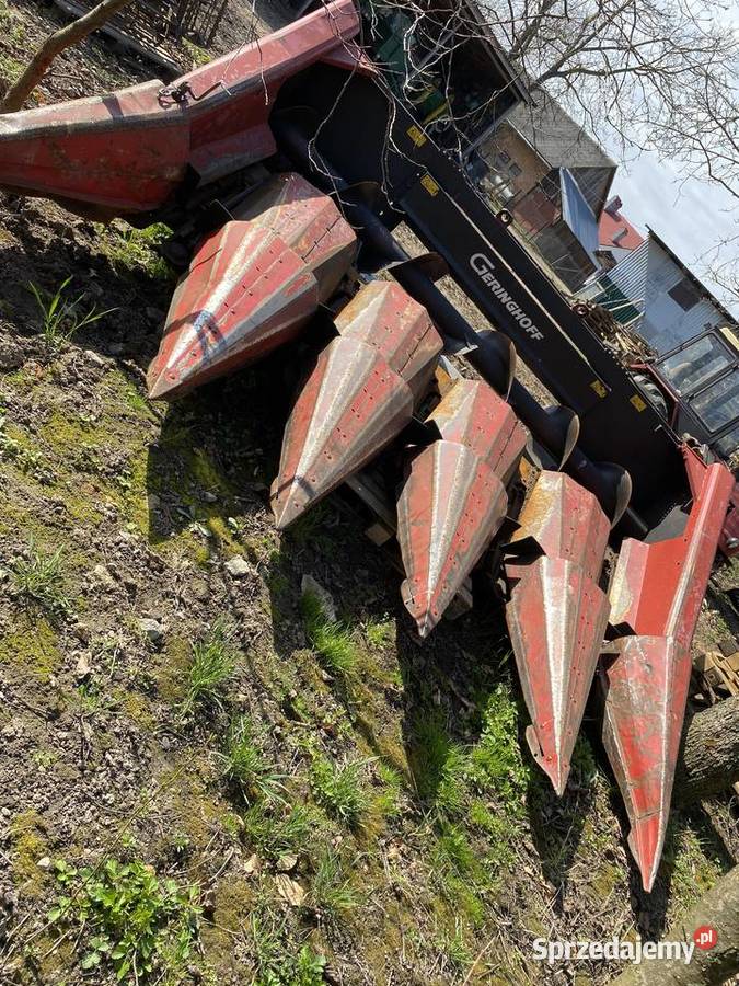 Heder przystawka do kukurydzy 5 rzędowa