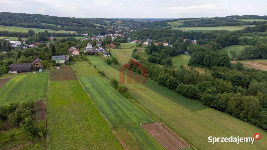 Grunt 2800m2 Zagorzyce 135m