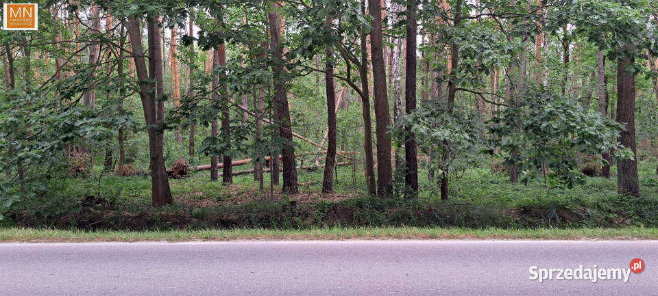 Działka Borzęcin 28900m2