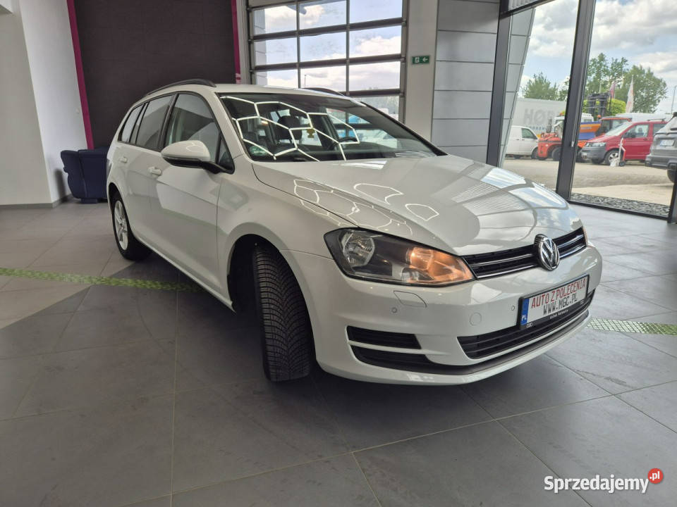 Volkswagen Golf Volkswagen Golf 16 BlueTDI Łaziska Górne