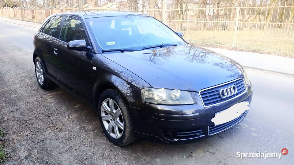Audi A3 19 TDI 105 łódzkie Kiernozia