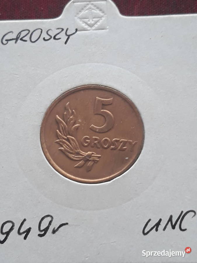 5 Groszy 1949 r Brąz Śliczne Konin