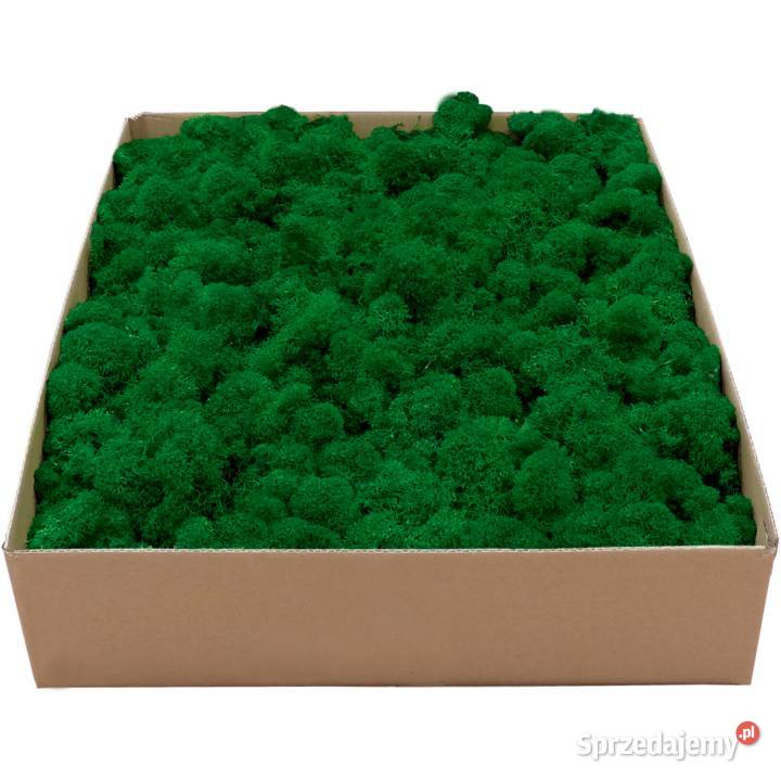 Mech Chrobotek PREMIUM Forest Green Karton 1 Czarków sprzedam