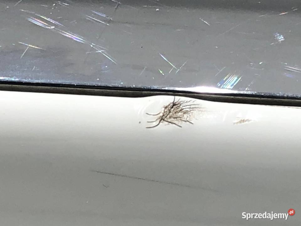 KLAMKA ZEWNĘTRZNA LEWY PRZÓD HONDA ODYSSEY Van podkarpackie