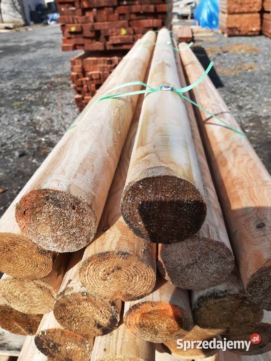 Słup okrągły modrzew dł 240m Stemple modrzewiowe Jelenia Góra