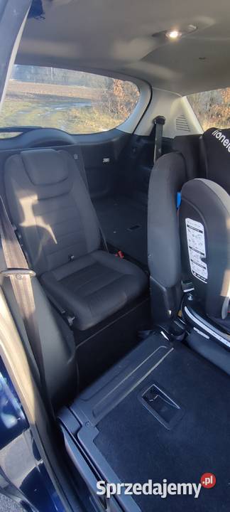 Ford S S-MAX Szamotuły