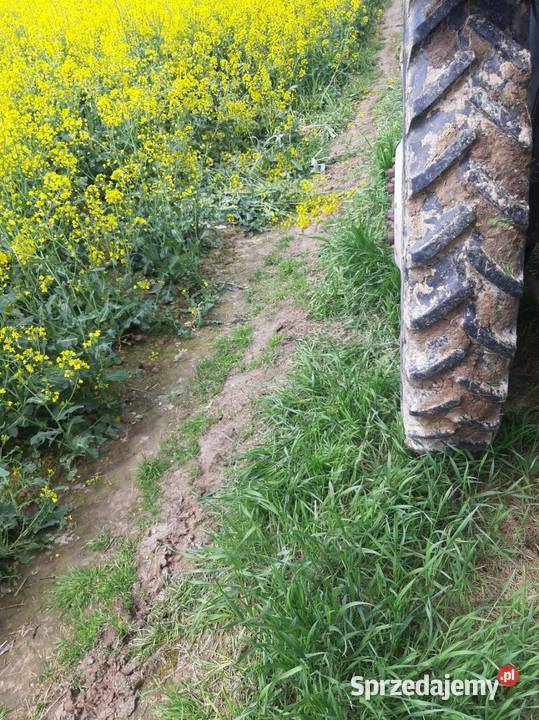 Koła wąskie Massey Ferguson Ursus 95r44 23095r44 Krzczonów Pierwszy sprzedam