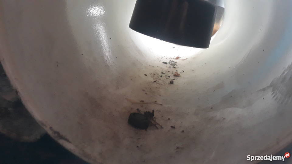 Nowa Dojarka Alfa Laval Archimedes Komplet Tążewy