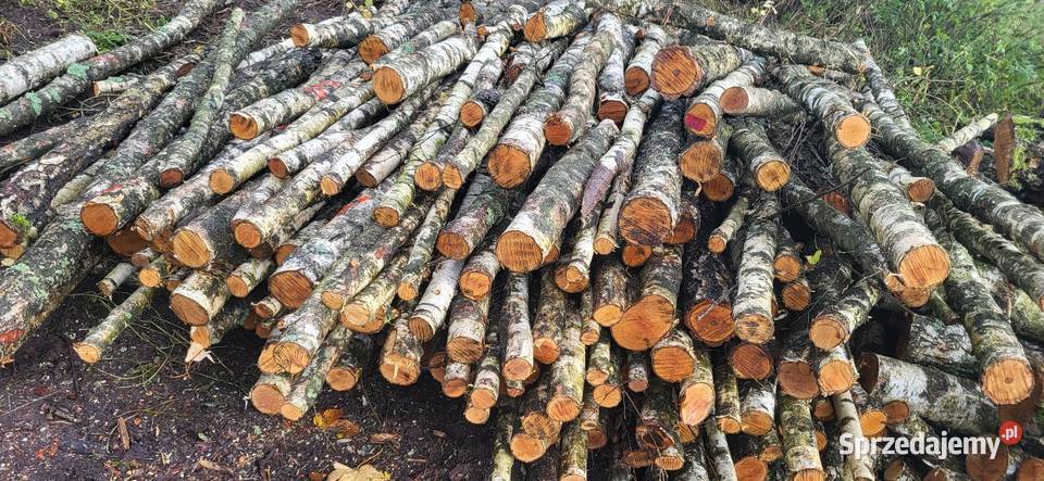 Wynmina na wszelki ZłOM Drewno Opałowe