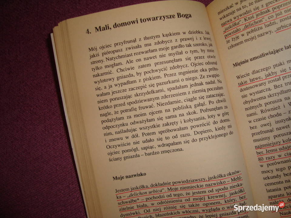 Gdyby zwierzeta mogły mówić z fotoopisem