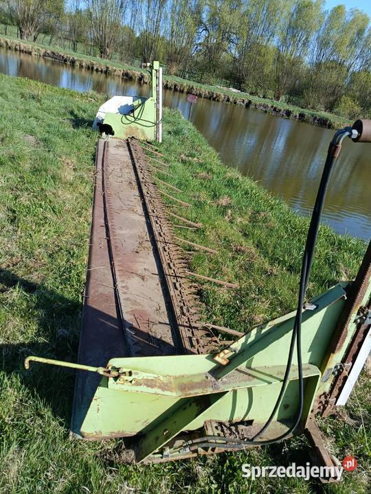 Przystawka do rzepaku Claas lexsion 440 Nowogard