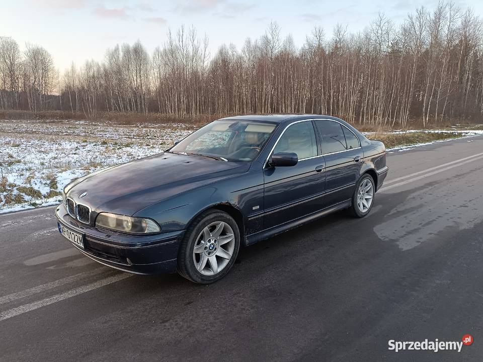 BMW E39 535i 2002R Exclusive Wielgolas Brzeziński
