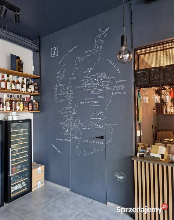 Malowanie na ścianach mural w pokoju dziecięcym Stalowa Wola