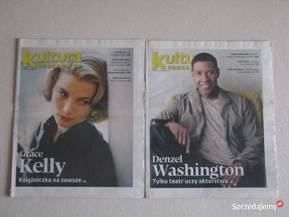 Kultura Program TV Dziennik Gazeta Prawna z lat tygodnik Brzegi