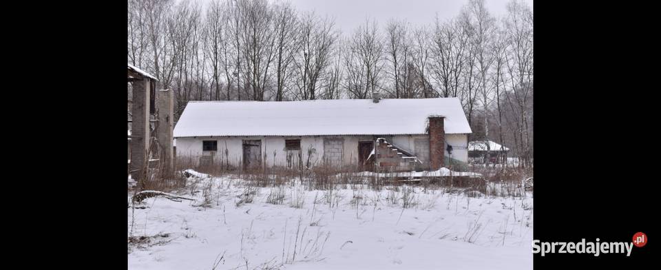 Dzialka 289ha Dom Dębiny Opole Lubelskie