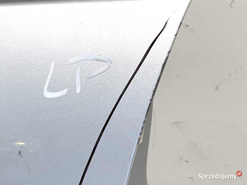 DRZWI LEWY PRZÓD RENAULT SCENIC III Minivan osobowe