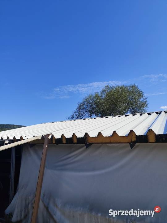 Płyta warstwowa dachowa Kingspan Paneltech Płyty warstwowe Maków Podhalański