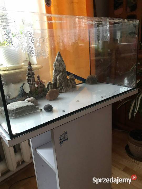 akwarium aquael 60l lubelskie