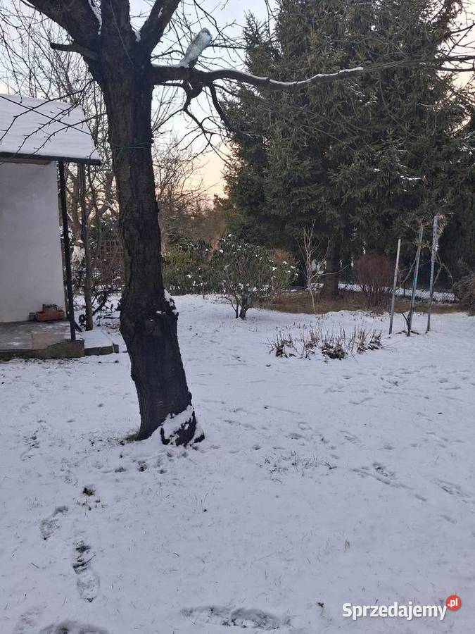 Działka rekreacyjna ROD Poranek łódzkie