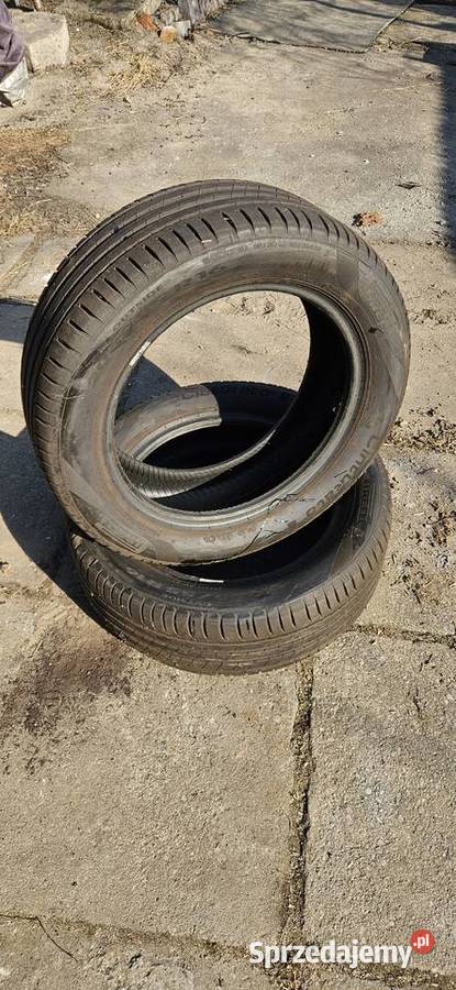 Opony letnie Pirelli Cintauro 2055516