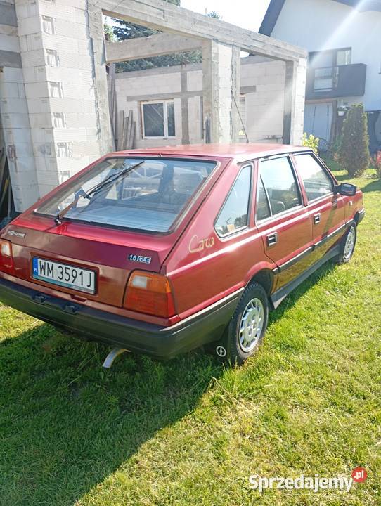 Polonez Caro Łuków