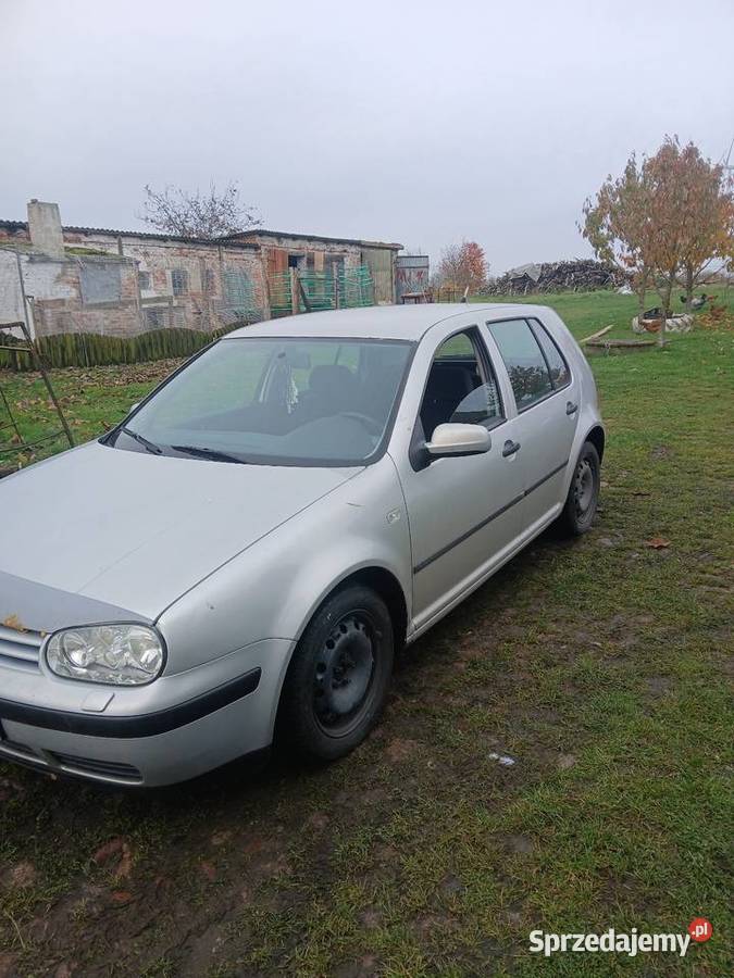 Sprzedam golfa 4 14 bezna Rok produkcji 2000 Sosnowo