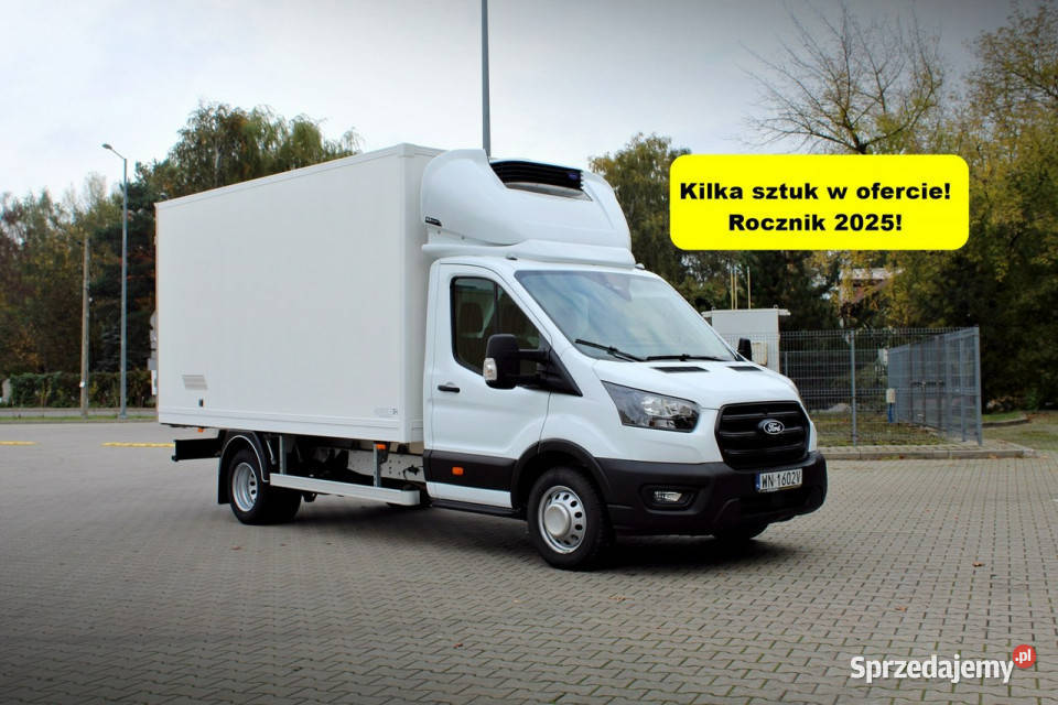 Ford Transit Transit bliźniak chłodnia 8 euro chłodnia (izoterma) Łomianki