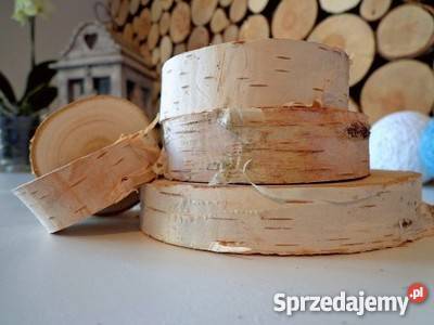 Plastry drewniane krążki drewna brzoza 1417 Rybnik