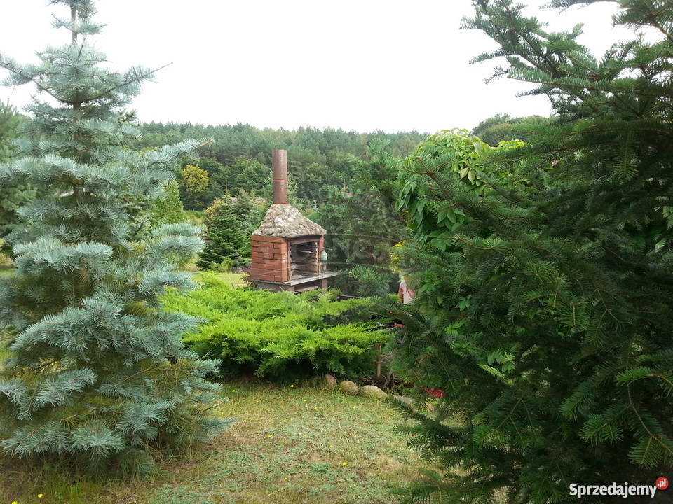 Sprzedaż domu wolnostojącego 72m2 Moczydło wolnostojący