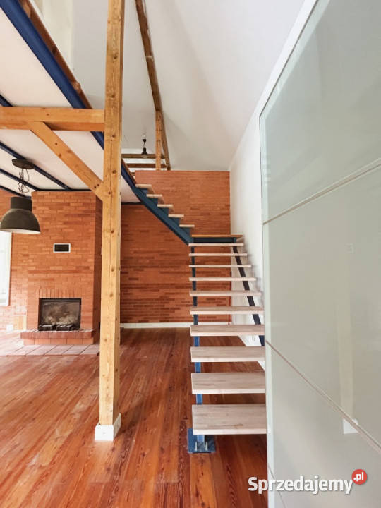 Piękny dom z Winnicą koło Miechowa sprzedam Sprzedaż Nieruchomości