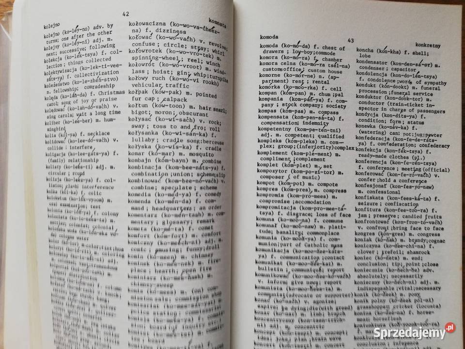 Practical Polish English EnglishPolish małopolskie Kraków