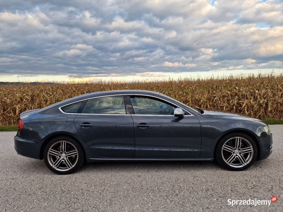 Audi S5 Sportback 30 TFSI 333 Nisko