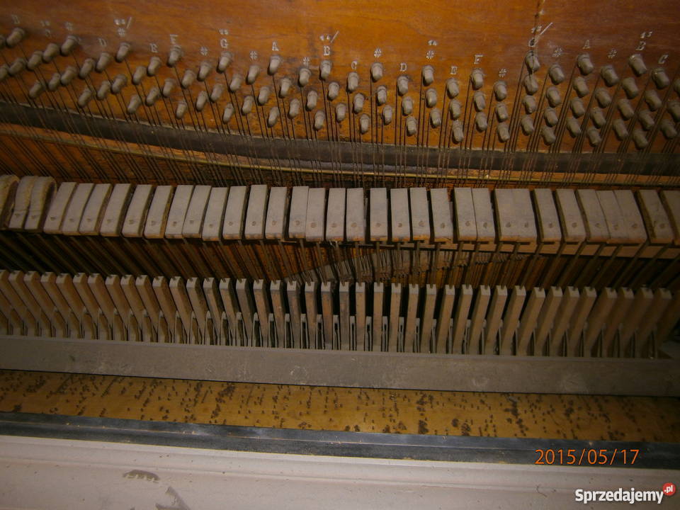 Szafa Grajaca Rzeszów