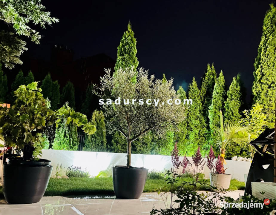 Dom szeregowy Józefosław 285m2 Liczba pokoi 6 Sprzedaż mazowieckie