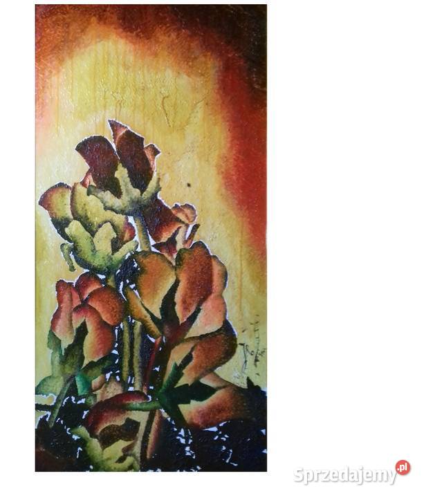 Archidiecezjalne Piwonie Antyki, Sztuka, Kolekcje podkarpackie