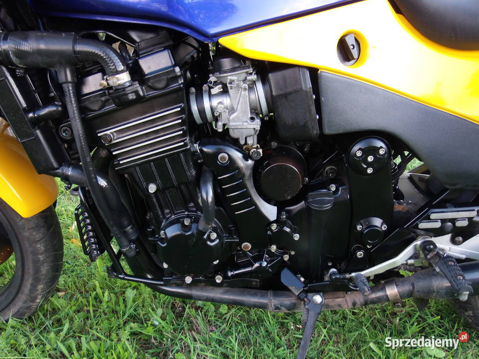 Triumph 1200 Daytona Triumph Frampol