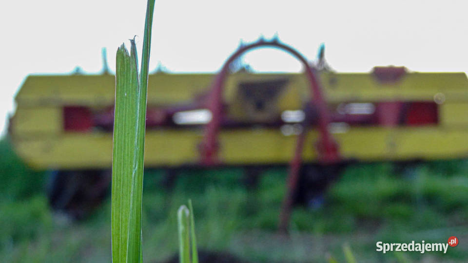Przetrząsarka Taśmowa Lechia Z 266 Oryginał Baćkowice
