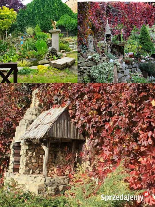 Dom z ogrodem strych Sprzedaż